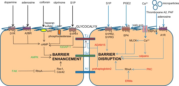 Fig. 2.