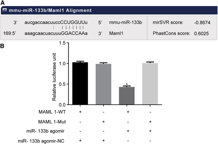 Figure 4