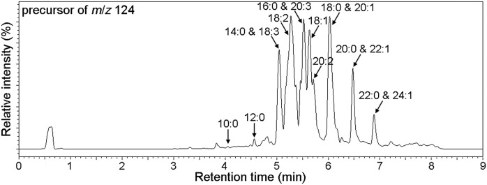 Fig. 8.