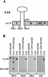 FIG. 5