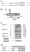 FIG. 8