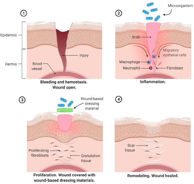 Figure 1.