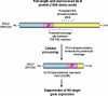Fig. 4.