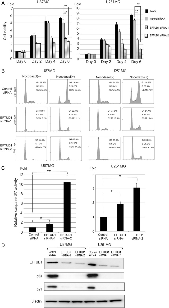 Fig. 3.