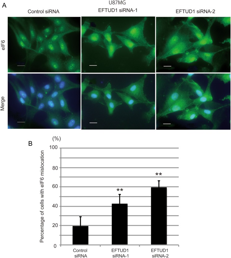 Fig. 4.