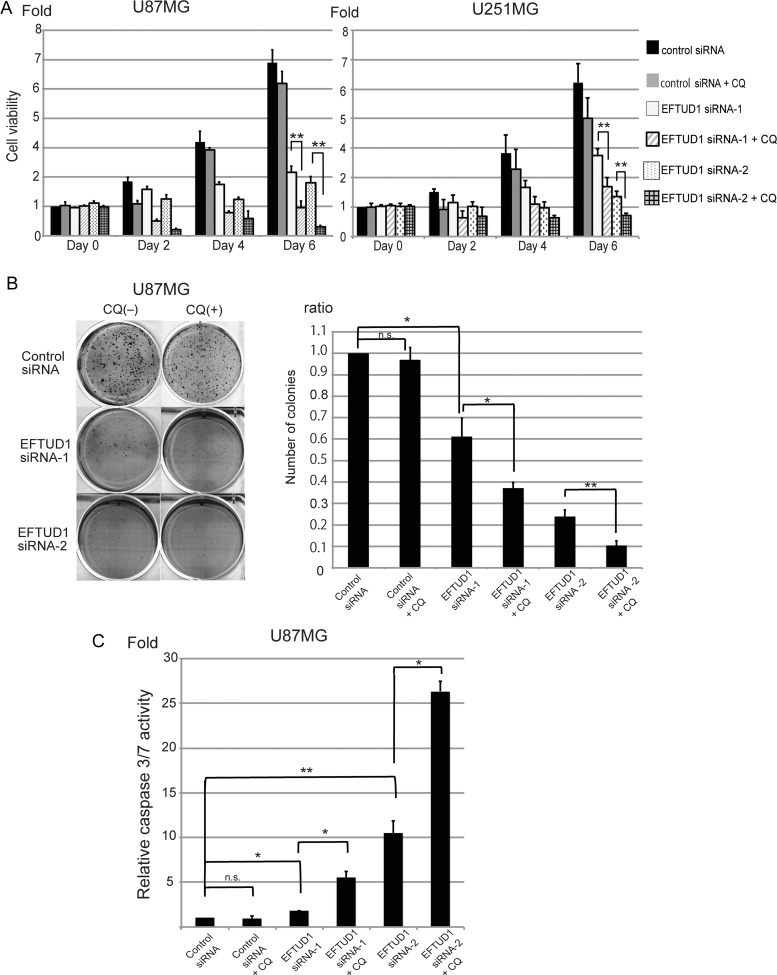 Fig. 6.