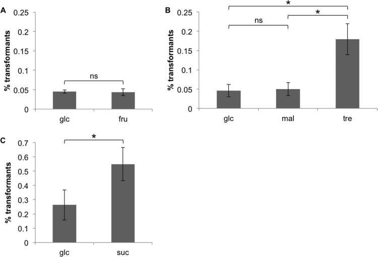 FIG 5