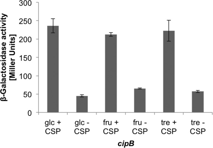 FIG 6