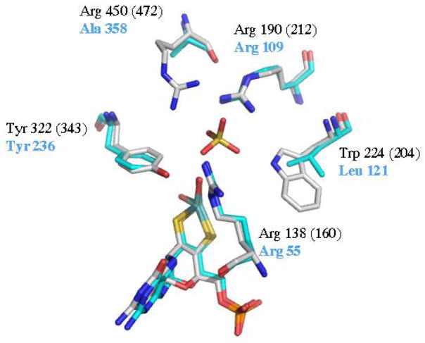 Figure 5