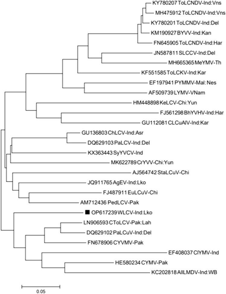 Fig. 5