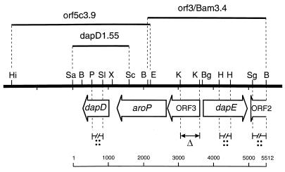 FIG. 2