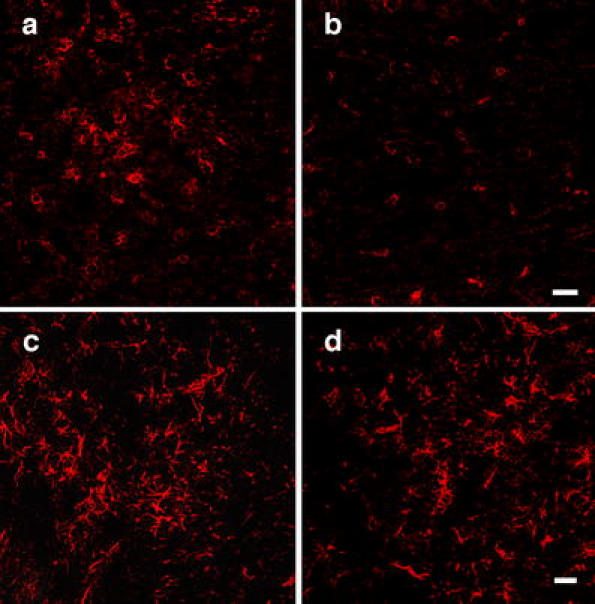 Fig. 7