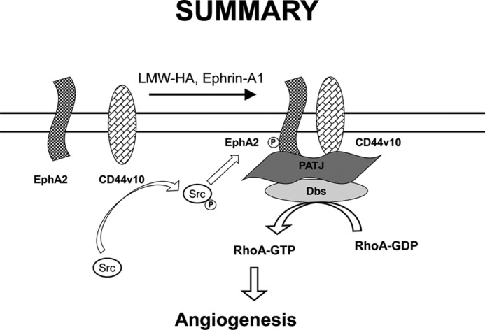 FIGURE 12.