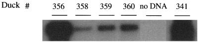 FIG. 8