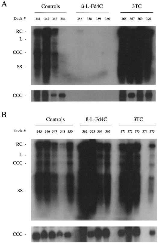 FIG. 6