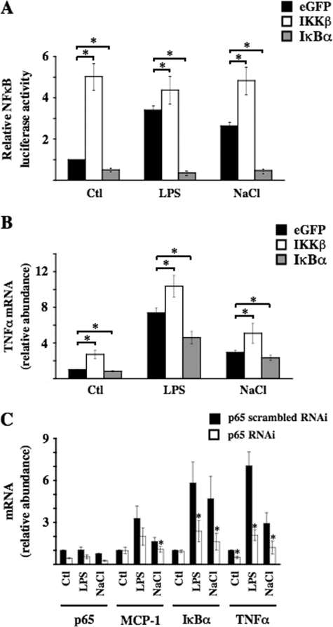 FIGURE 7.