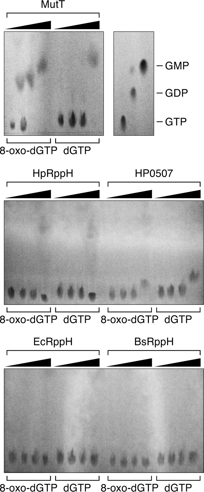 FIGURE 7.