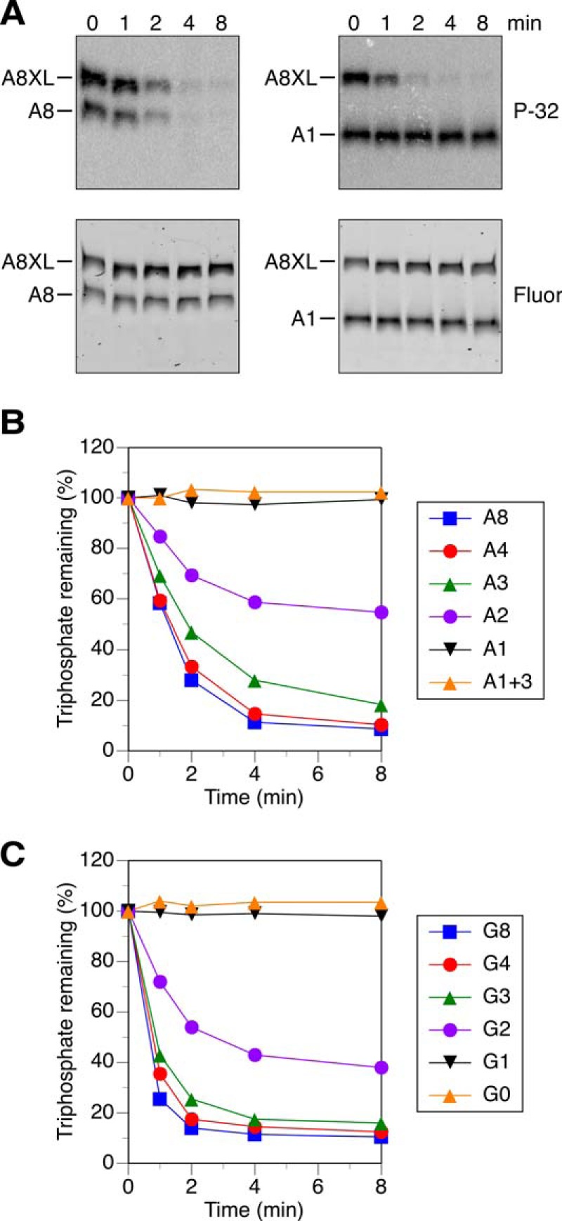 FIGURE 4.