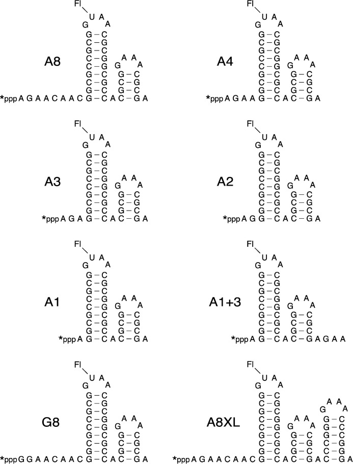 FIGURE 3.