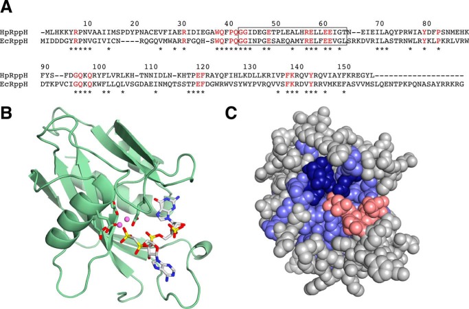 FIGURE 1.