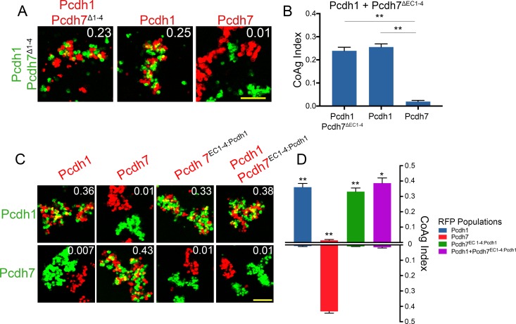 Figure 6—figure supplement 2.