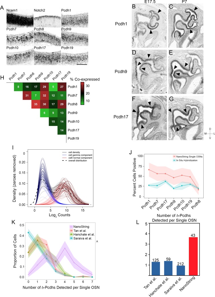 Figure 1—figure supplement 1.