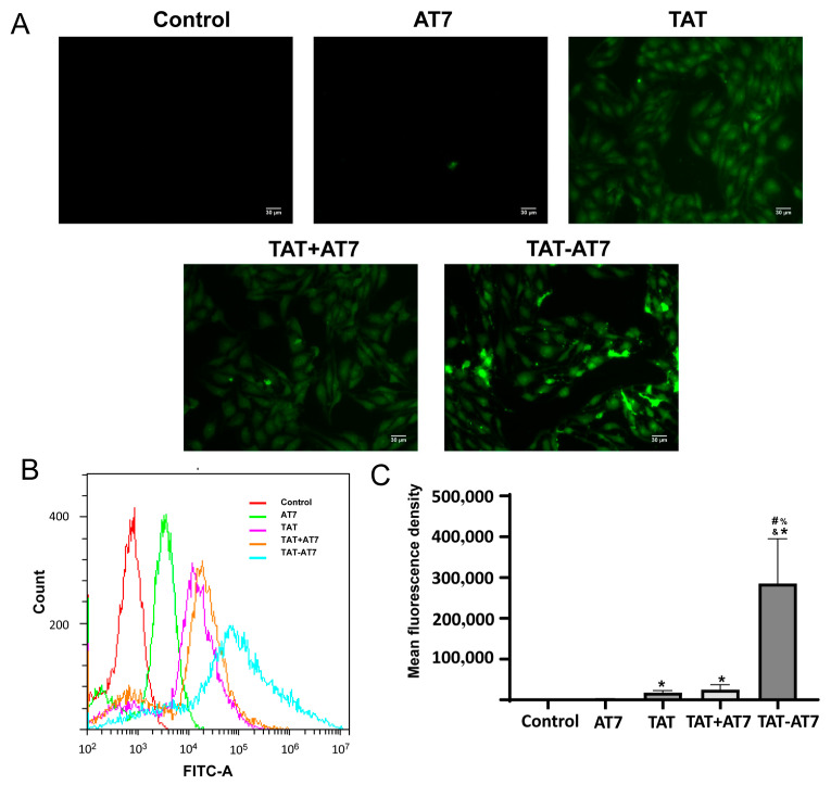 Figure 6