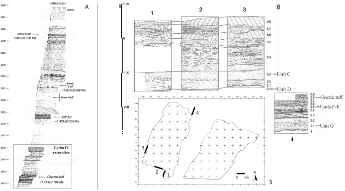 Fig 2