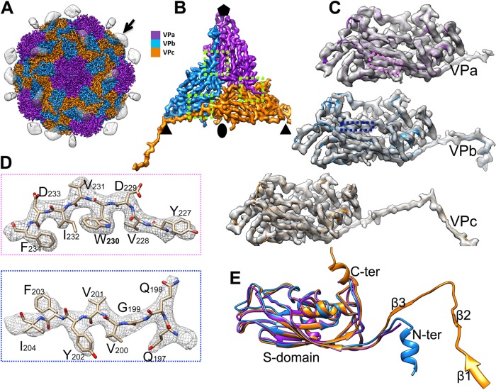 FIG 6