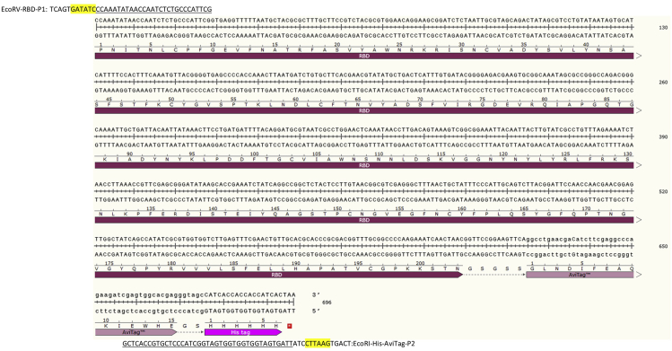 Figure 1