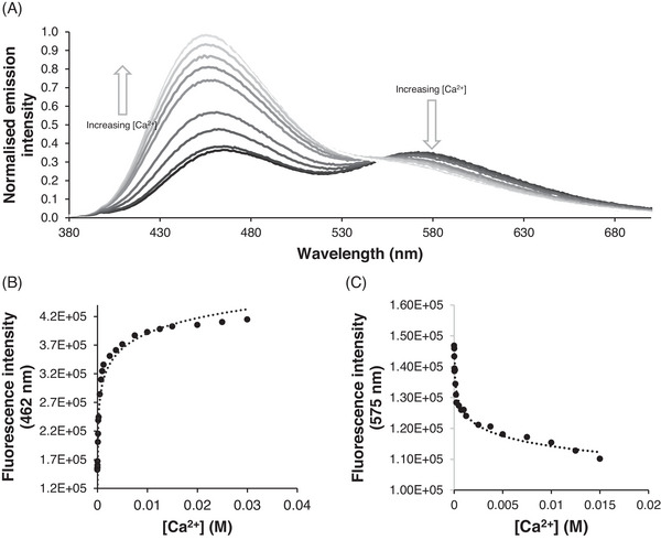 FIGURE 3