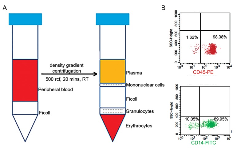 Fig.1