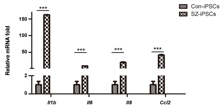 Fig.5