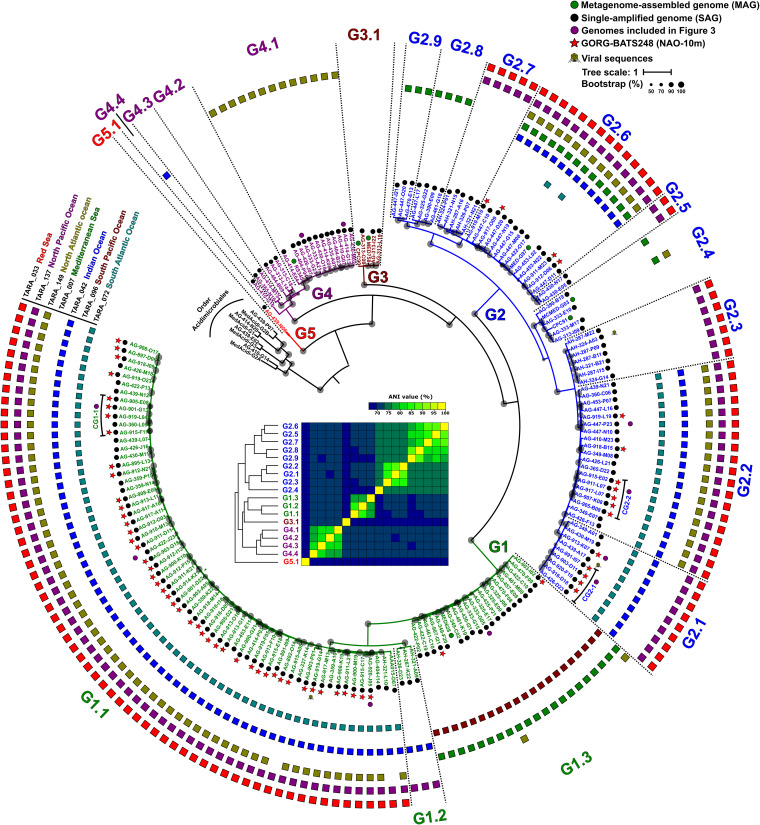 FIG 1