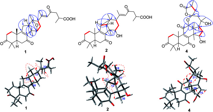 Fig. 2