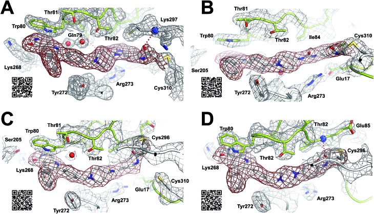 Fig. 3