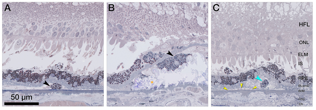 Figure 6.