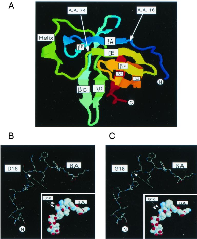 FIG. 6.