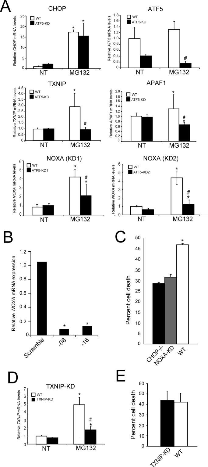 FIGURE 7: