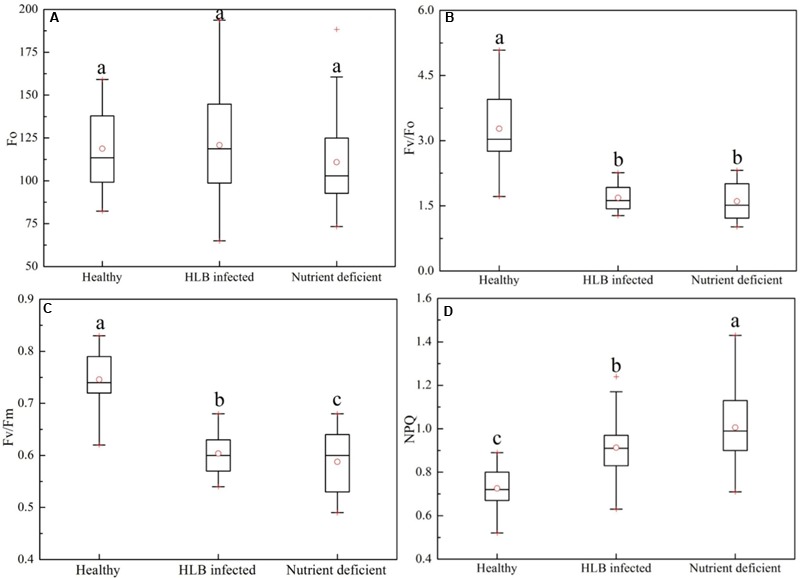 FIGURE 3