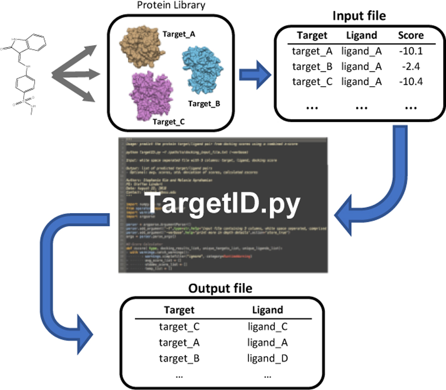 graphic file with name nihms-1002283-f0001.jpg