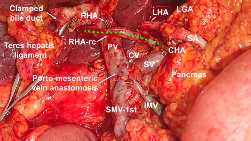 FIGURE 1.