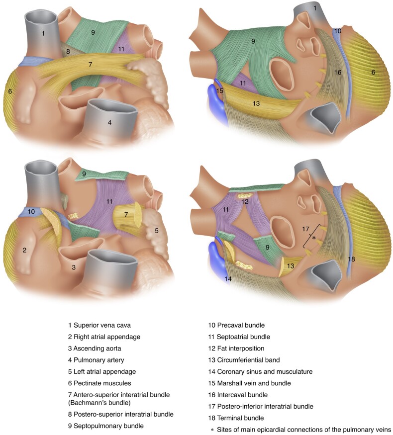 Figure 5