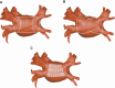 Figure 15