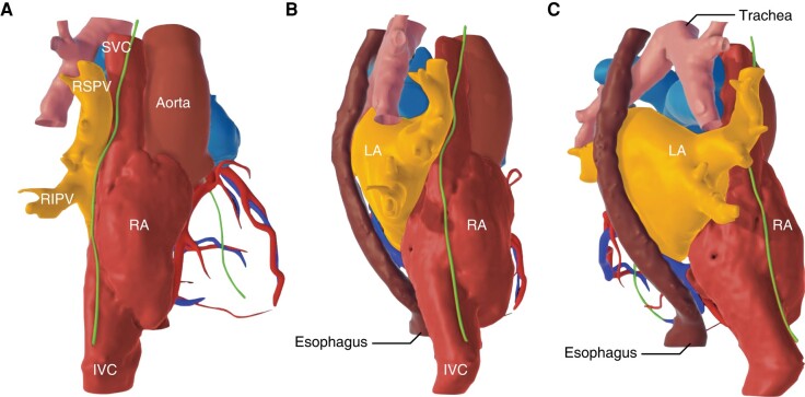 Figure 6