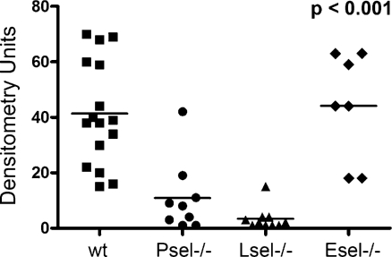 Fig. 6