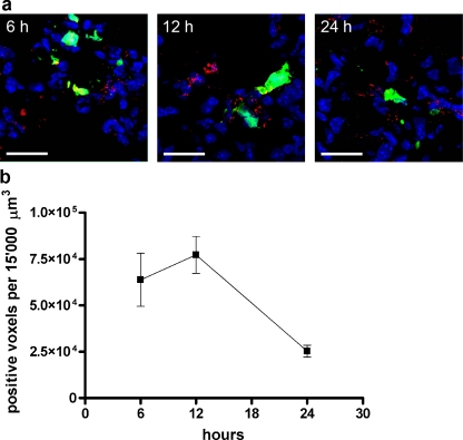 Fig. 2