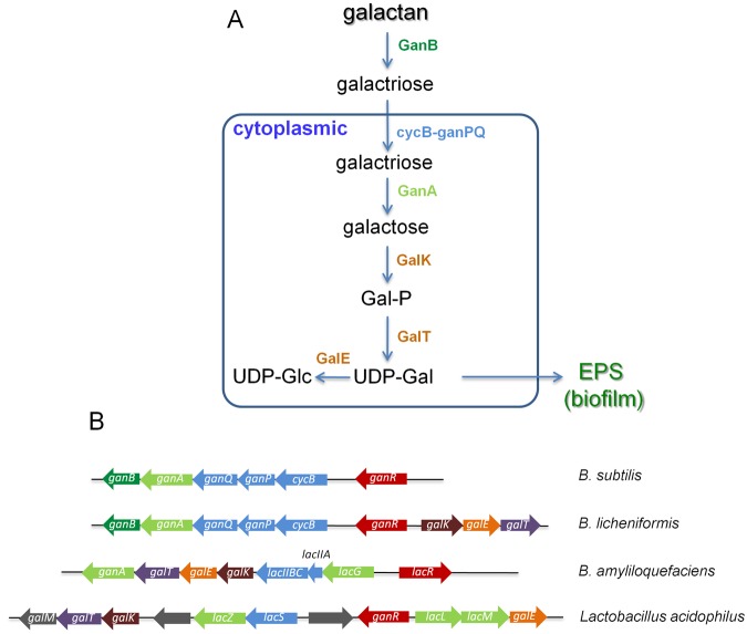 FIG 6 