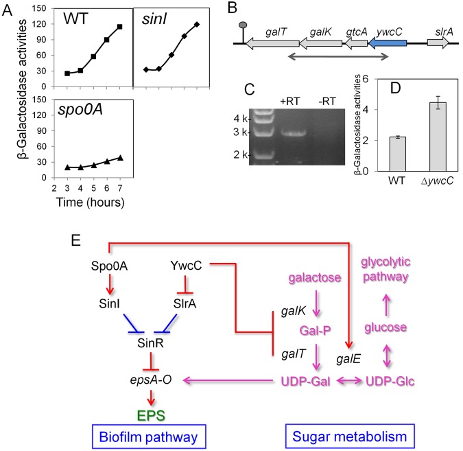 FIG 4 