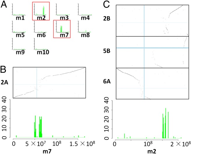 Fig. 3.